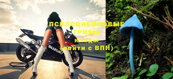 гашик Краснотурьинск