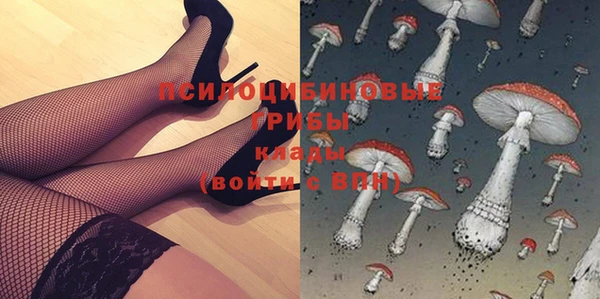 гашик Краснотурьинск