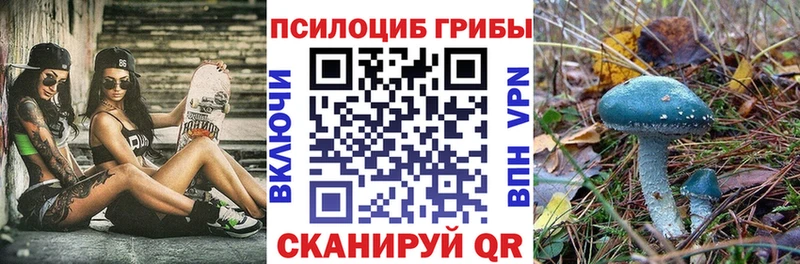 Купить  Зуевка  Псилоцибиновые грибы Magic Shrooms 